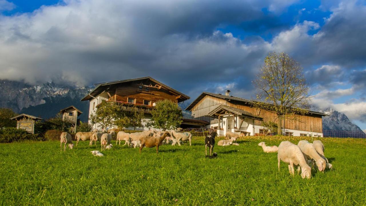 Ferienwohnung Schuchterhof 米耶明 外观 照片